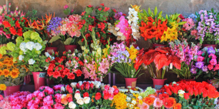 Waco Florist and Flower Delivery Find the Top Flower Shop
