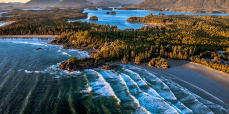 Mystic Beach Vancouver Island's Coastal Gem