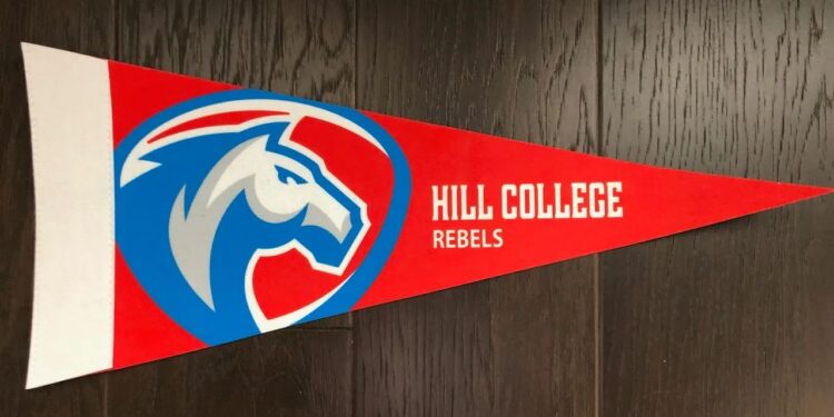 Creative Custom Pennants